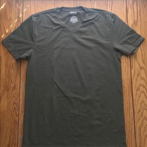 Express elastic fitted v-neck